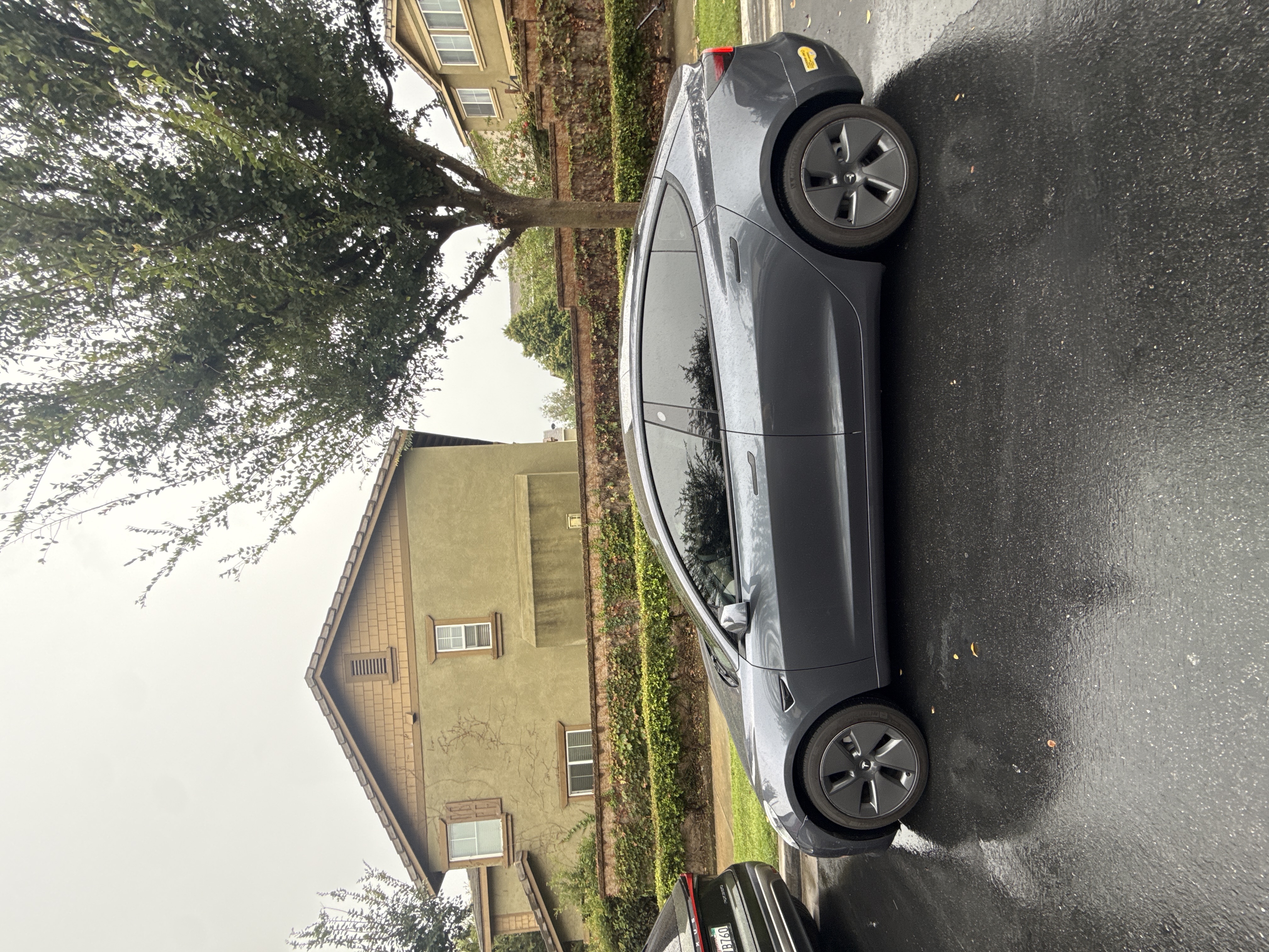Car from Katelyn P.'s review